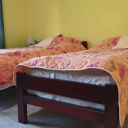 Apartment Roxana Centar Novi Sad Eksteriør billede