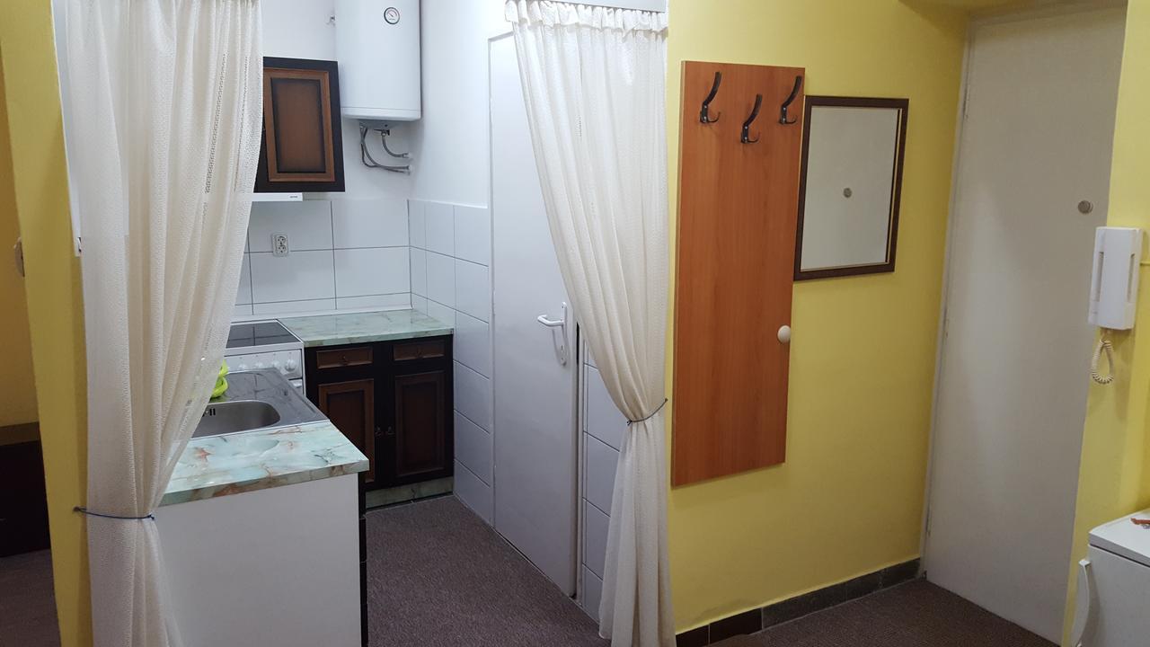 Apartment Roxana Centar Novi Sad Eksteriør billede