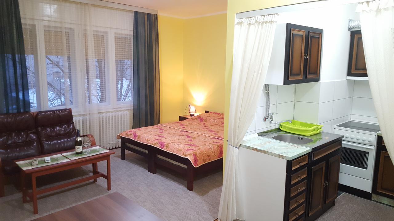 Apartment Roxana Centar Novi Sad Eksteriør billede